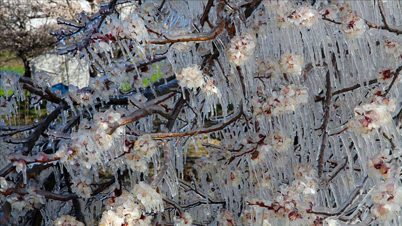 Meteoroloji, İzmir’de 28 Aralık–2 Ocak tarihleri arasında etkili olacak soğuk