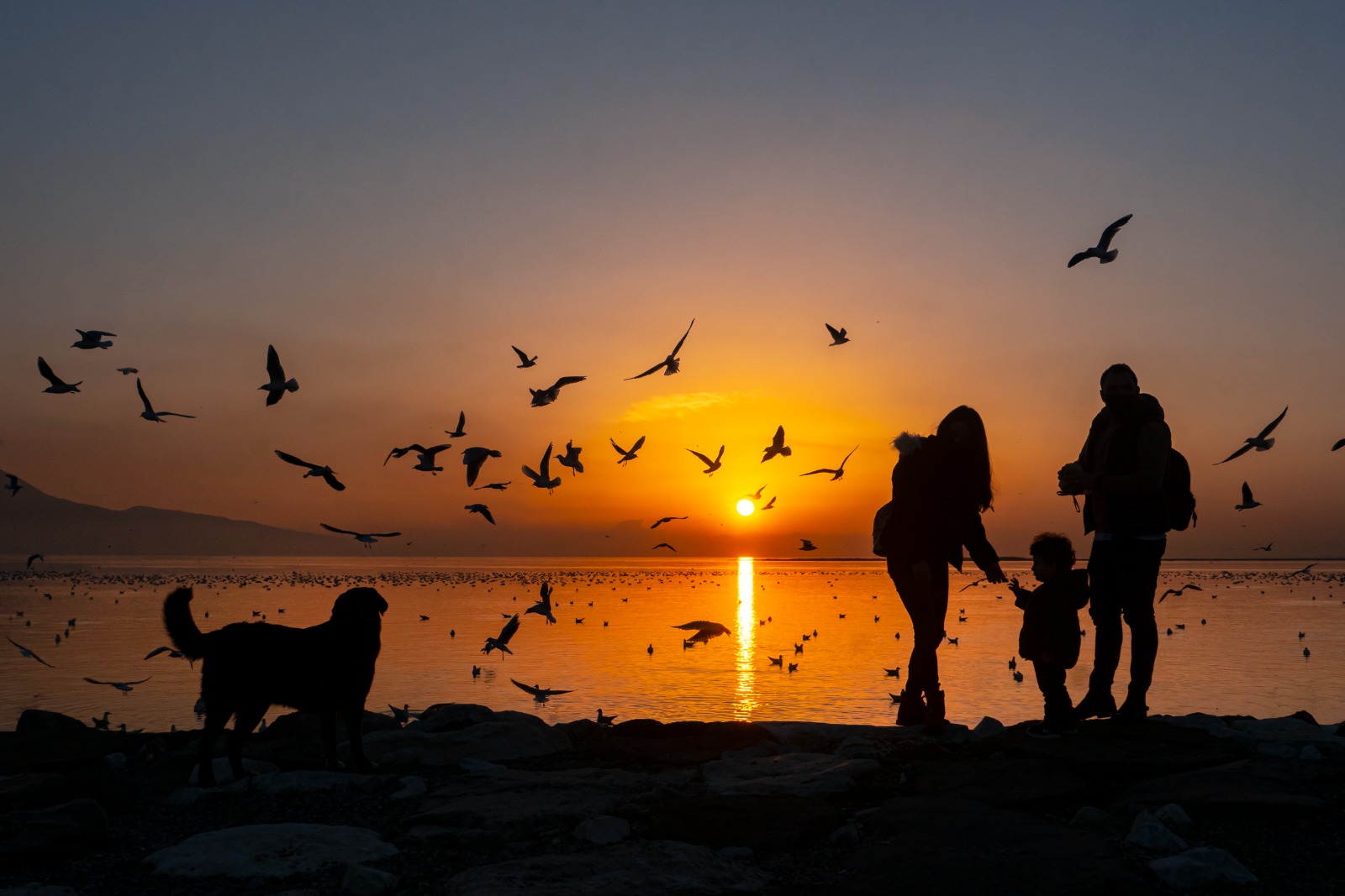 Karşıyaka Belediyesi’nin düzenlediği Kardeş Kadrajlar Uluslararası Fotoğraf Yarışması için başvurular
