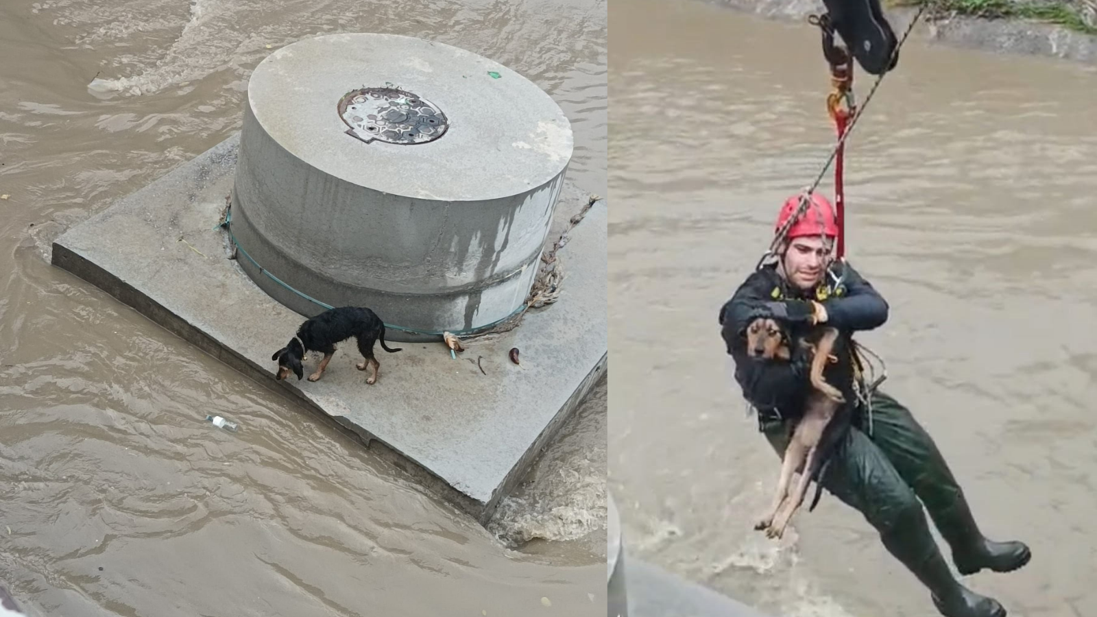 Karabağlar Aşık Veysel Mahallesi’nde dere yatağına düşerek mahsur kalan bir