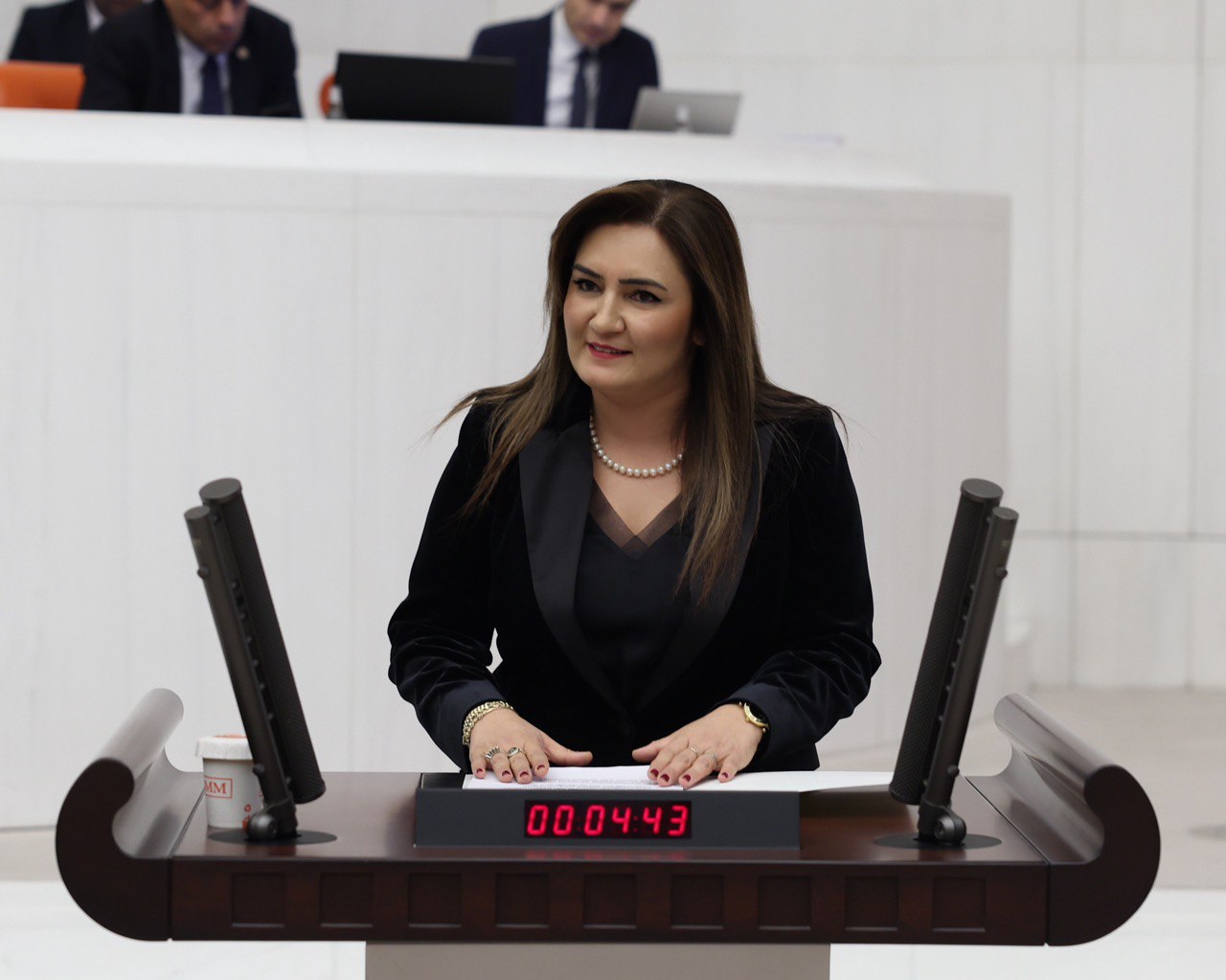 CHP İzmir Milletvekili Av. Sevda Erdan Kılıç, savaşların kadınlar ve