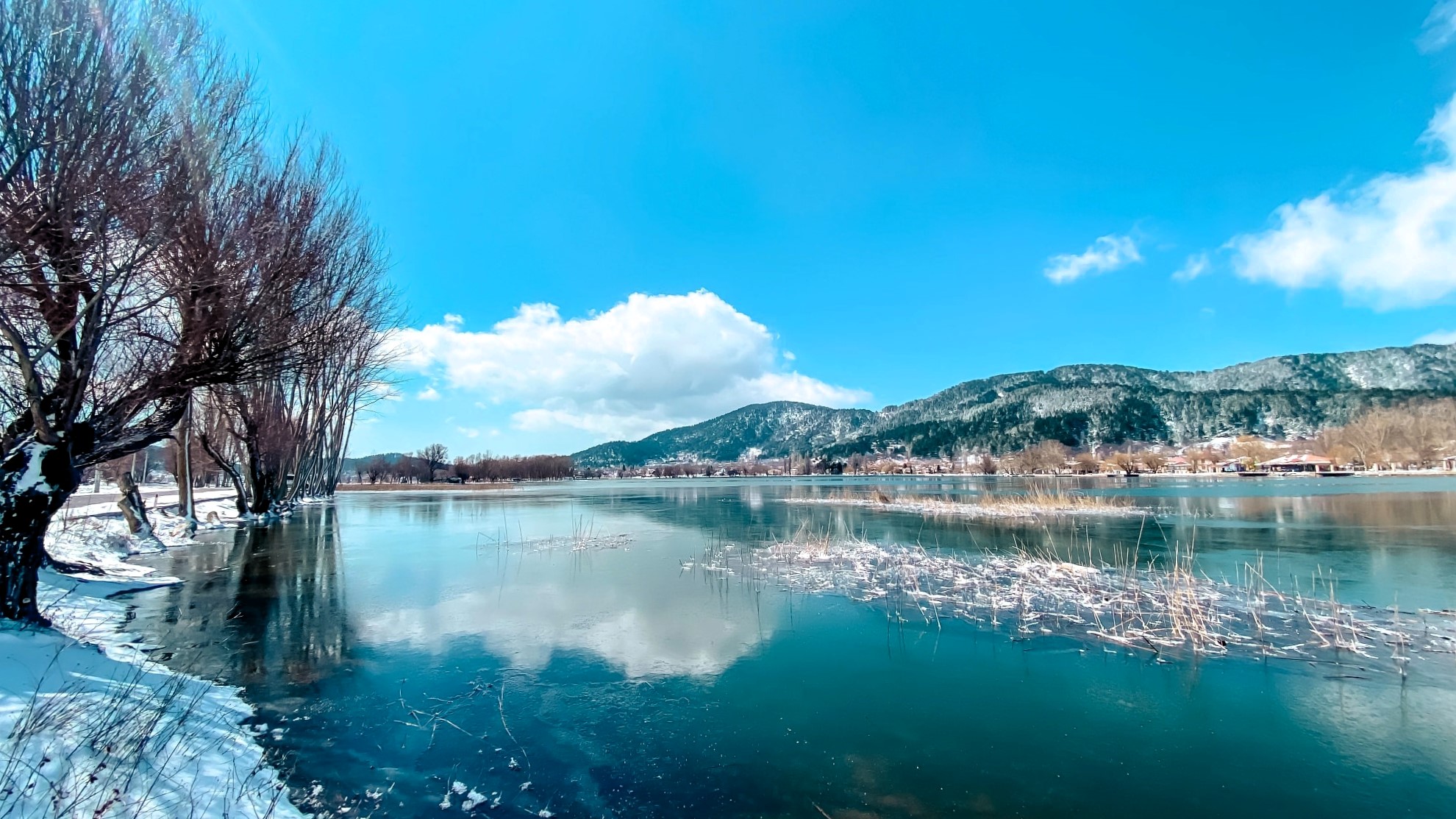Ödemiş Belediyesi, Gölcük Yaylası’nın doğal yapısını korumak amacıyla 360 hektarlık