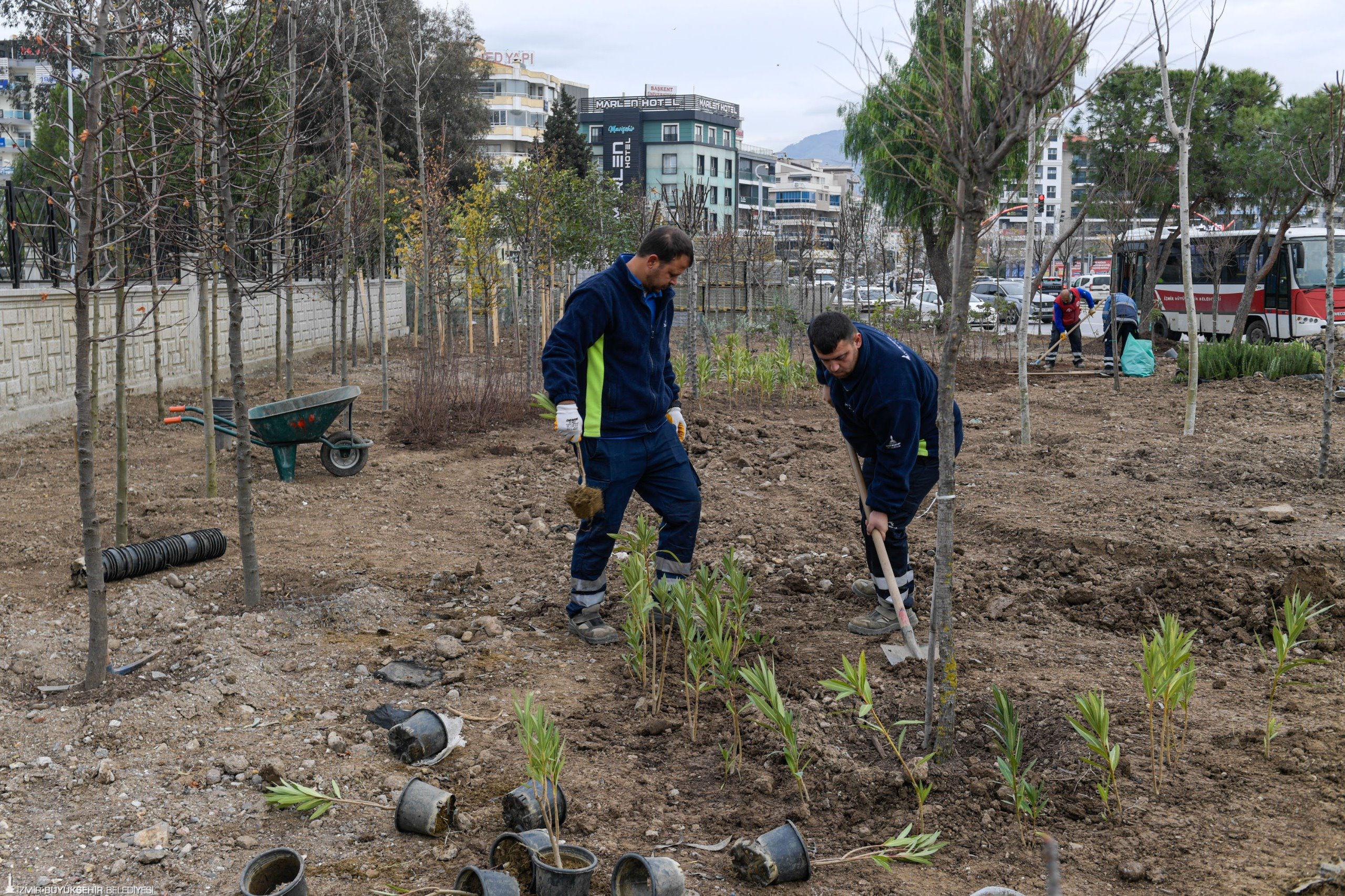 İzmir Büyükşehir Belediyesi, atıl alanları mini ormanlara dönüştürüyor. Mavişehir ve