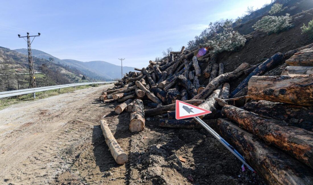 İzmir Büyükşehir Belediyesi, Ödemiş’te orman yangını sonrası menfezi tıkayan tomruklar