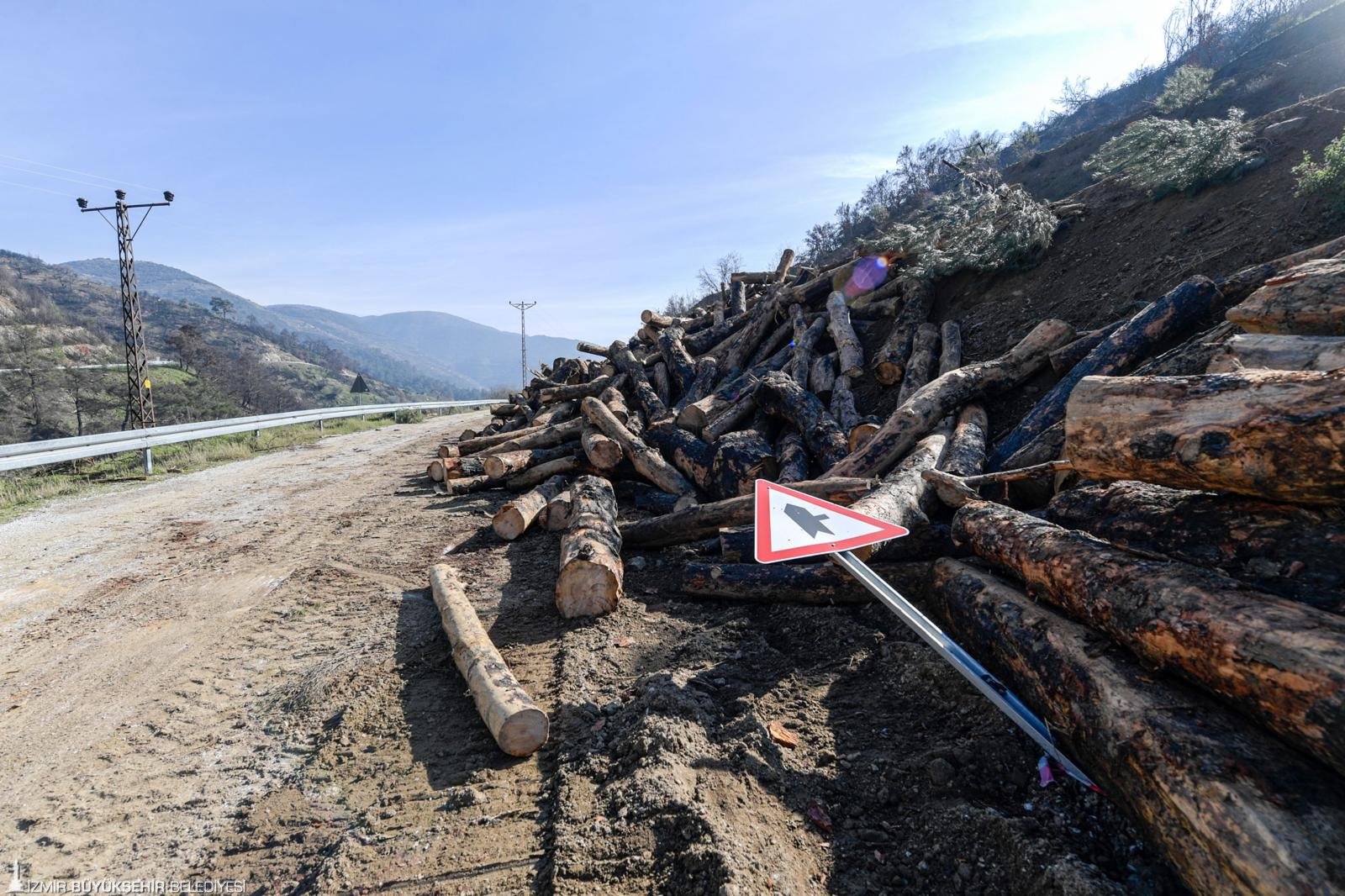 İzmir Büyükşehir Belediyesi, Ödemiş’te orman yangını sonrası menfezi tıkayan tomruklar