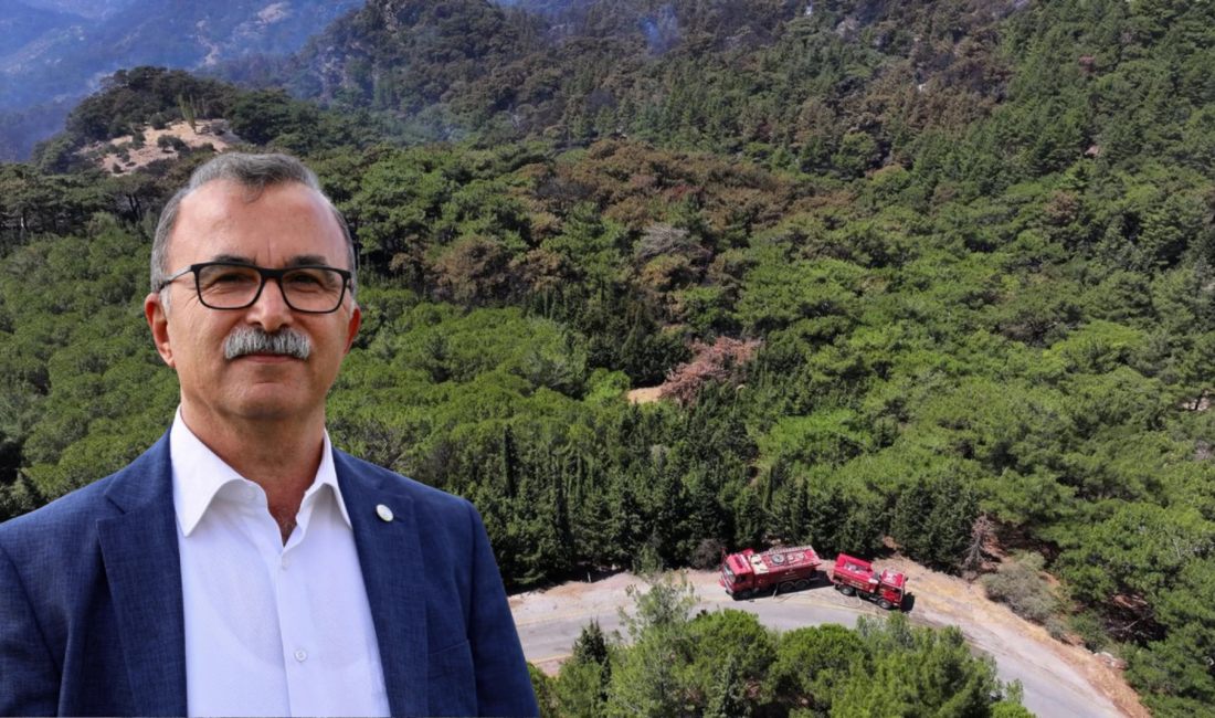 DEM Parti İzmir Milletvekili İbrahim Akın, Yamanlar Dağı çevresindeki orman