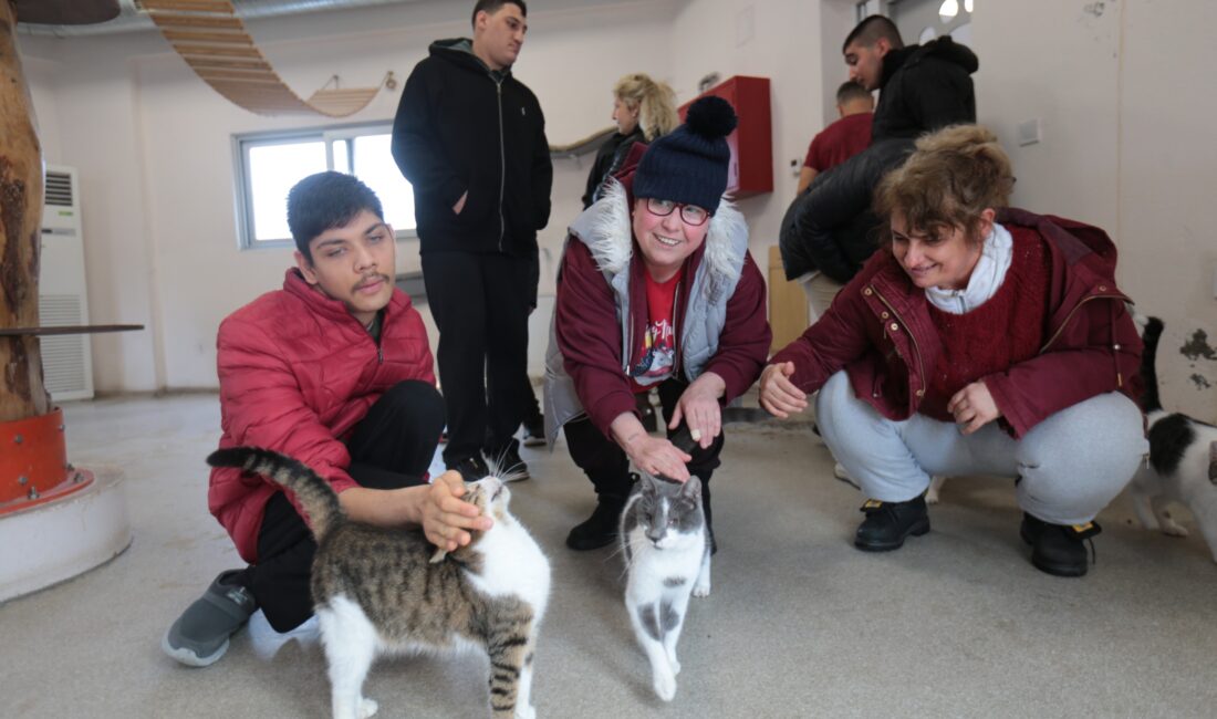 Konak Engelsiz Yaşam Köyü öğrencileri, Dünya Kediler Günü’nde Konak Belediyesi