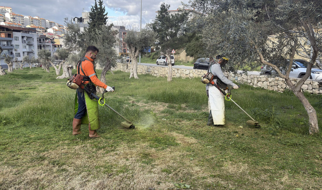 Kuşadası Belediyesi ekipleri, kent genelinde yabani ot temizliği, ağaç budama