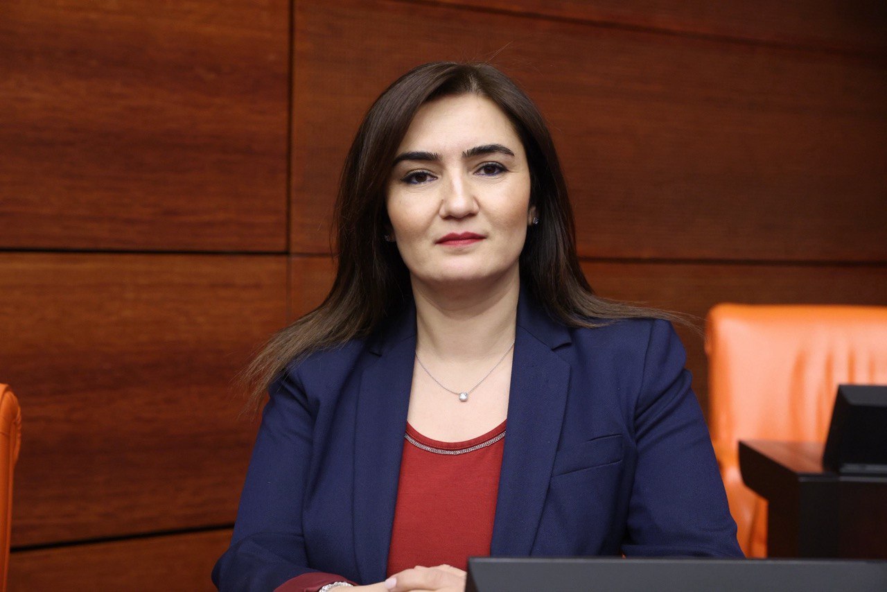 CHP’li Sevda Erdan Kılıç, çocuk yaşta gebelik ve evliliklere ilişkin