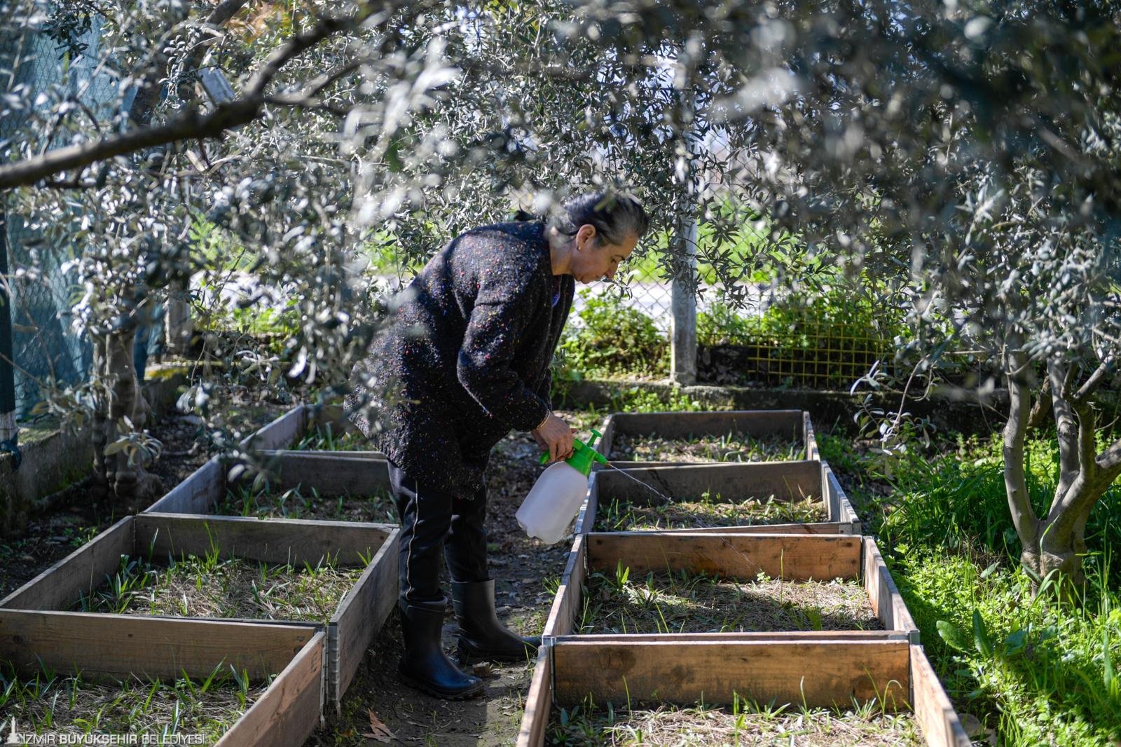 İzmir Büyükşehir Belediyesi Meslek Fabrikası’nın Tıbbi Aromatik Bitki Yetiştiriciliği kursuna