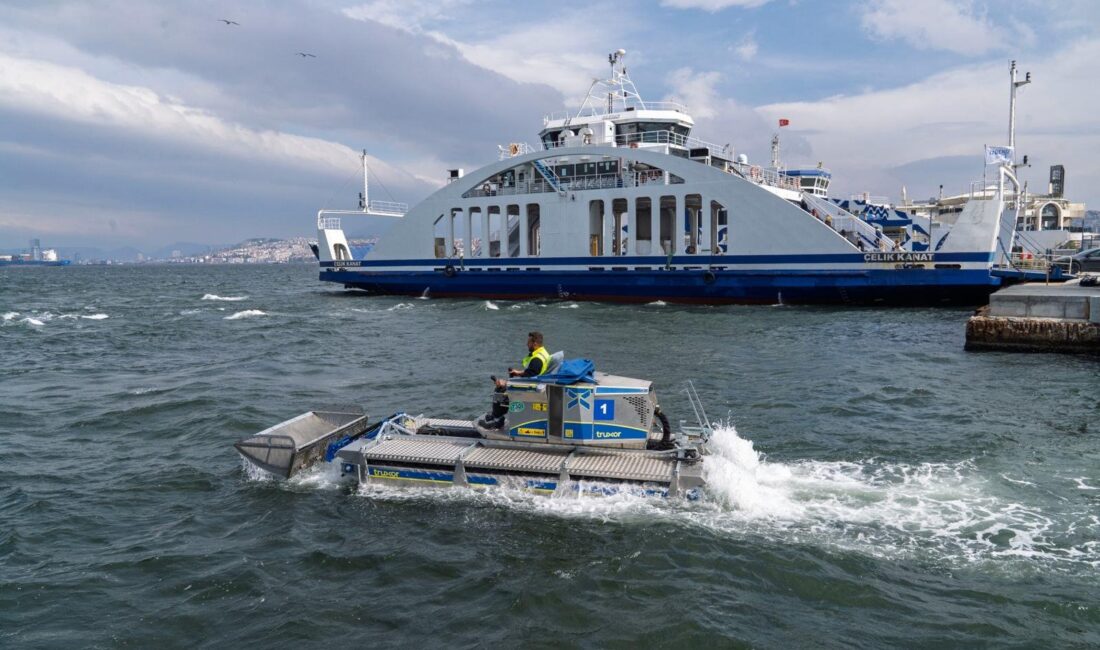 İzmir Büyükşehir Belediyesi, körfezde artan deniz marulu sorununa karşı 5