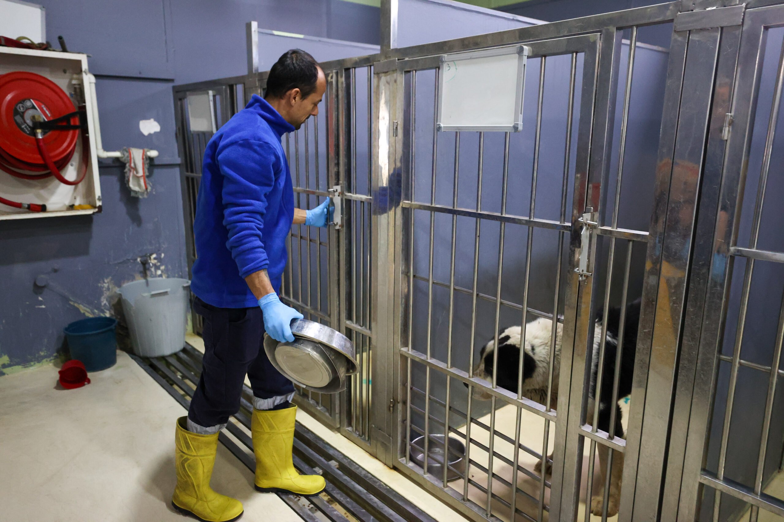 Buca Belediyesi Sokak Hayvanları Rehabilitasyon Merkezi’nde, can dostlar her gün