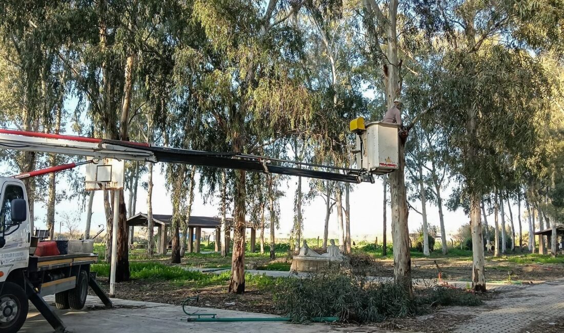 Efeler Belediyesi, Tepecik Mesire Alanı’nda yürüttüğü bakım ve budama çalışmalarıyla