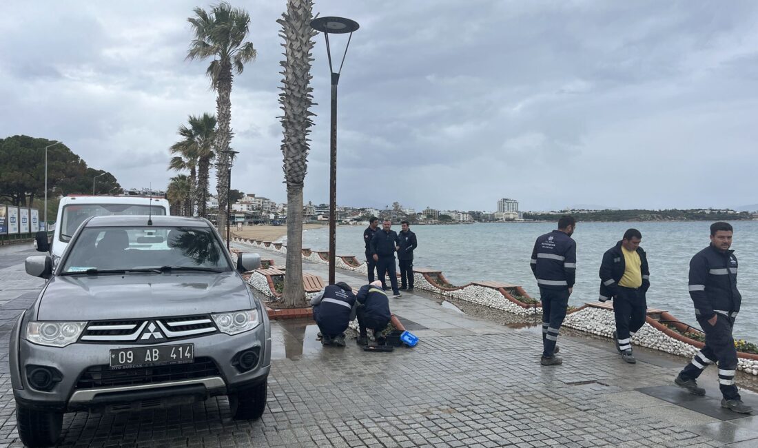 Didim Altınkum’da bir aydınlatma direğinde oluştuğu iddia edilen elektrik kaçağı,
