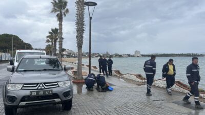 Didim Altınkum’da bir aydınlatma direğinde oluştuğu iddia edilen elektrik kaçağı,