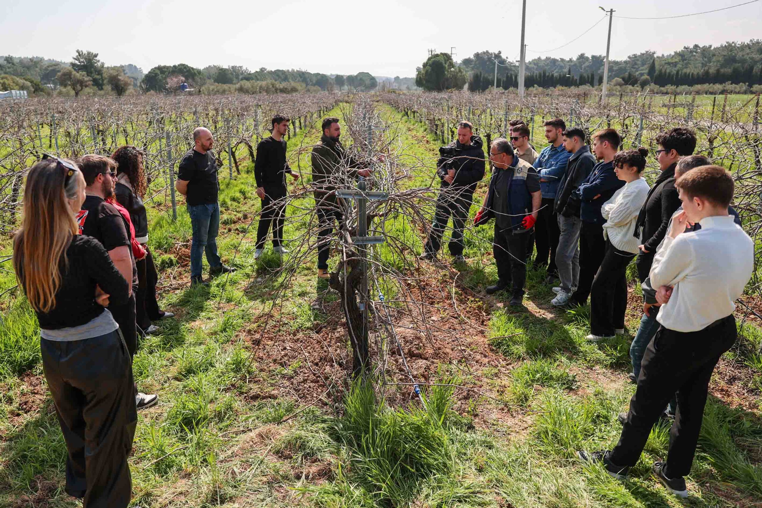 Buca Belediyesi’ne ait üzüm bağları, Ege Üniversitesi Ziraat Fakültesi öğrencilerine
