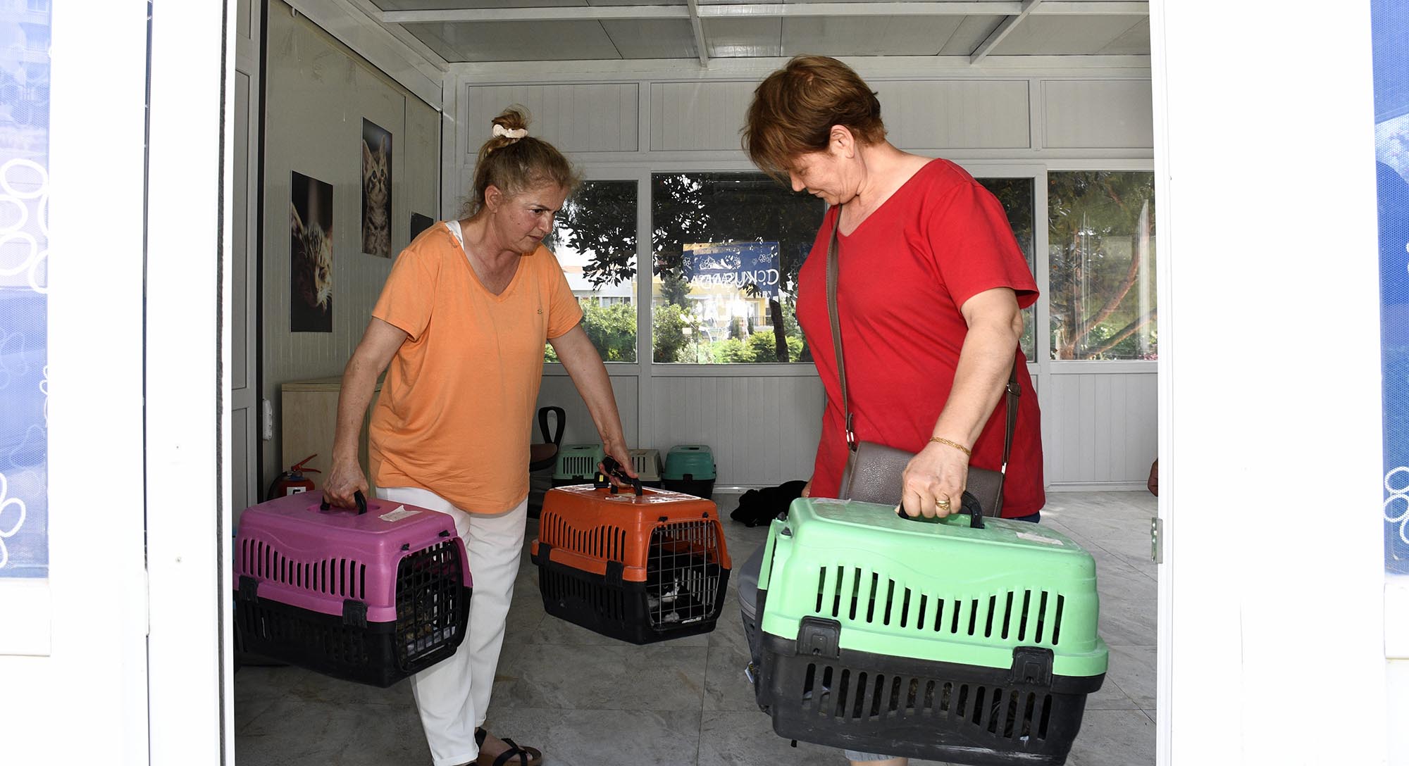 Kuşadası Belediyesi Veteriner İşleri Müdürü Erdinç Toy, sokak kedilerinin sağlıklı