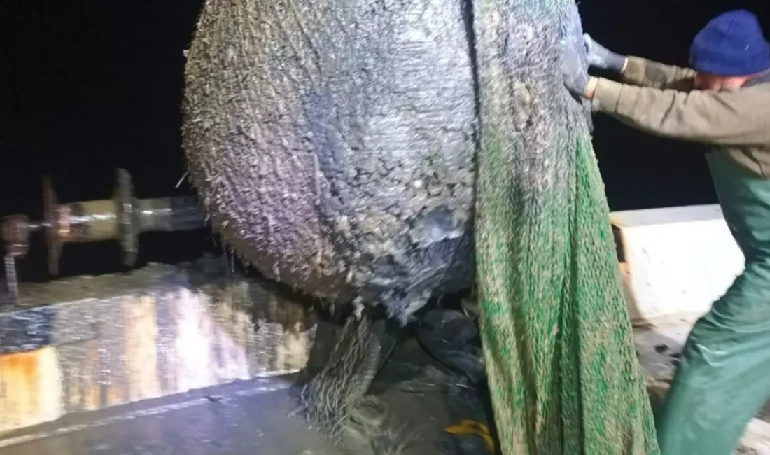  İzmir Büyükşehir Belediye Başkanı Cemil Tugay, İzmir Körfezi’nden çıkarılan