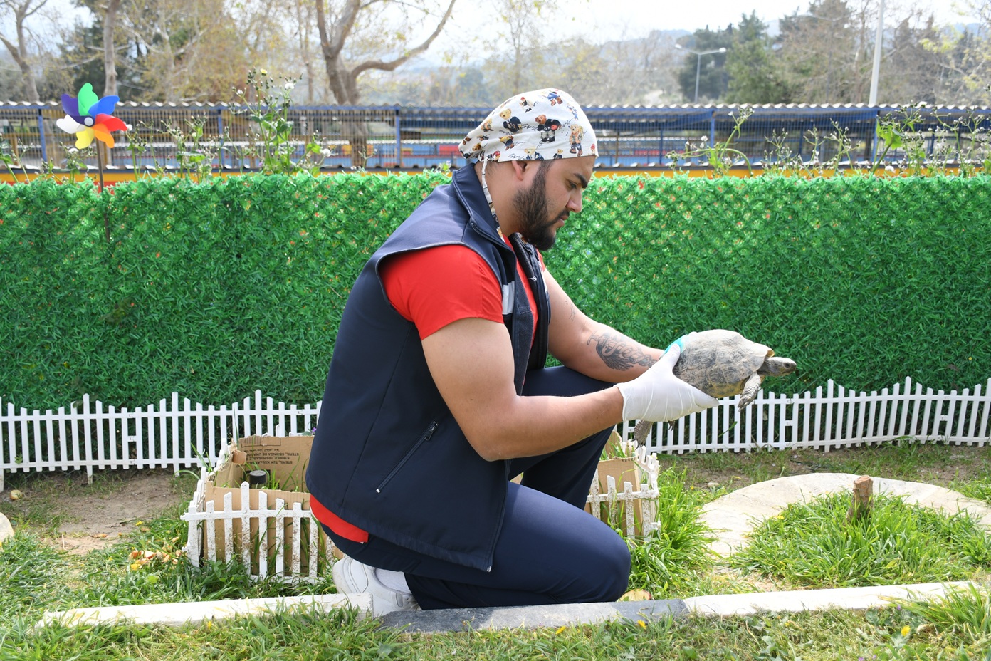 Kuşadası Evcil Hayvan Bakım ve Rehabilitasyon Merkezi, tedavileri tamamlanan 3