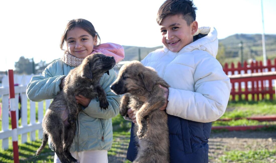 İzmir Büyükşehir Belediyesi, 4 Nisan Dünya Sokak Hayvanları Günü’nde bakımevlerinde