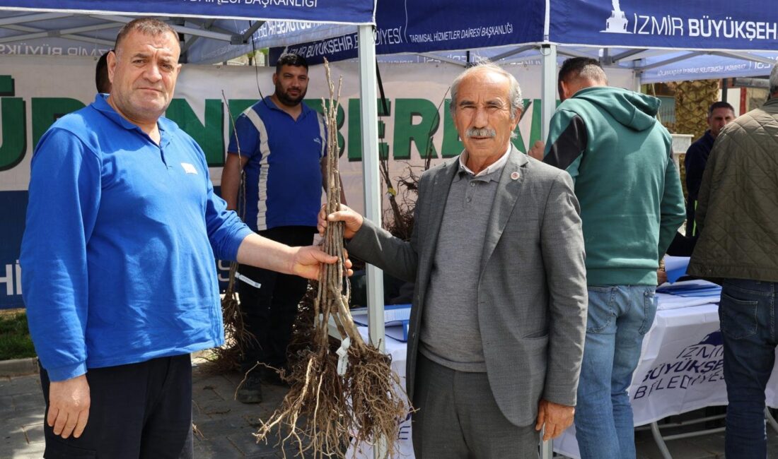 İzmir Büyükşehir Belediyesi, Beydağ’da ipekböcekçiliği için dut plantasyonu kurdu, kestane