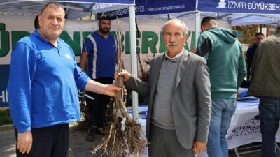 İzmir Büyükşehir Belediyesi, Beydağ’da ipekböcekçiliği için dut plantasyonu kurdu, kestane
