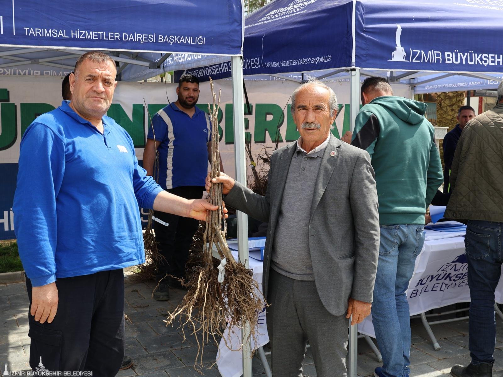 İzmir Büyükşehir Belediyesi, Beydağ’da ipekböcekçiliği için dut plantasyonu kurdu, kestane