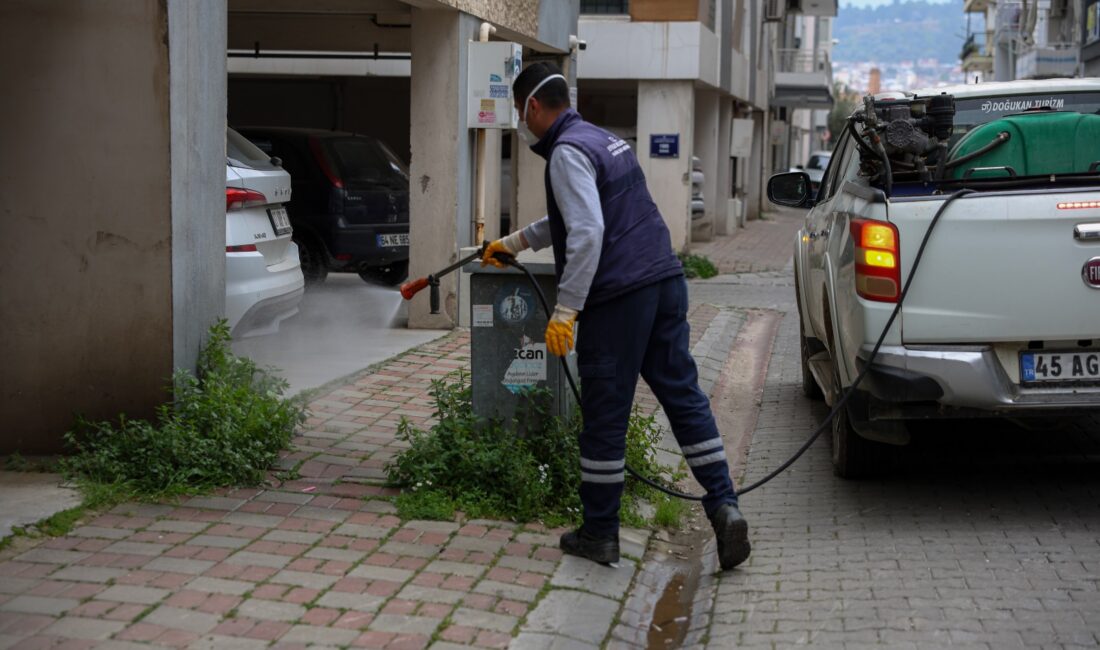 Efeler Belediyesi Park ve Bahçeler Müdürlüğü ekipleri, bahar aylarıyla birlikte