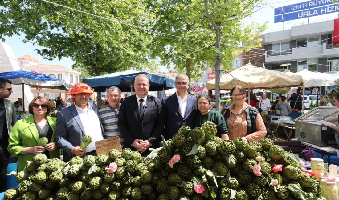Ege’nin bereketli topraklarında yetişen enginar, bu yıl da Urla’da yalnızca