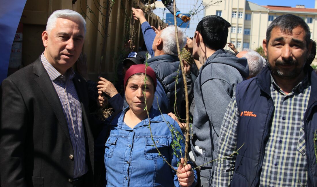 Bergama Belediyesi, kırsal kalkınma çalışmaları kapsamında 130 yabani ahlat ağacını