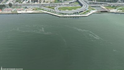 İzmir Büyükşehir Belediyesi’nin dron destekli taramalarında, Kasım ayından bu yana