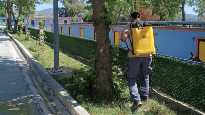 Kuşadası’nda yaz sıcaklarıyla artan kene riskine karşı sokak hayvanlarının korunması