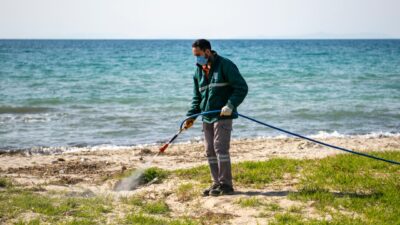 Kuşadası Belediyesi ekipleri, bahar temizliği kapsamında sahil hattında yabani otla