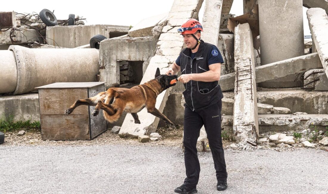 İzmir İtfaiyesi K9 Birimi’nin sahiplendiği Belçika kurdu Momo, arama kurtarma