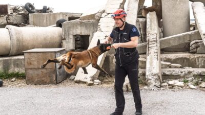 İzmir İtfaiyesi K9 Birimi’nin sahiplendiği Belçika kurdu Momo, arama kurtarma