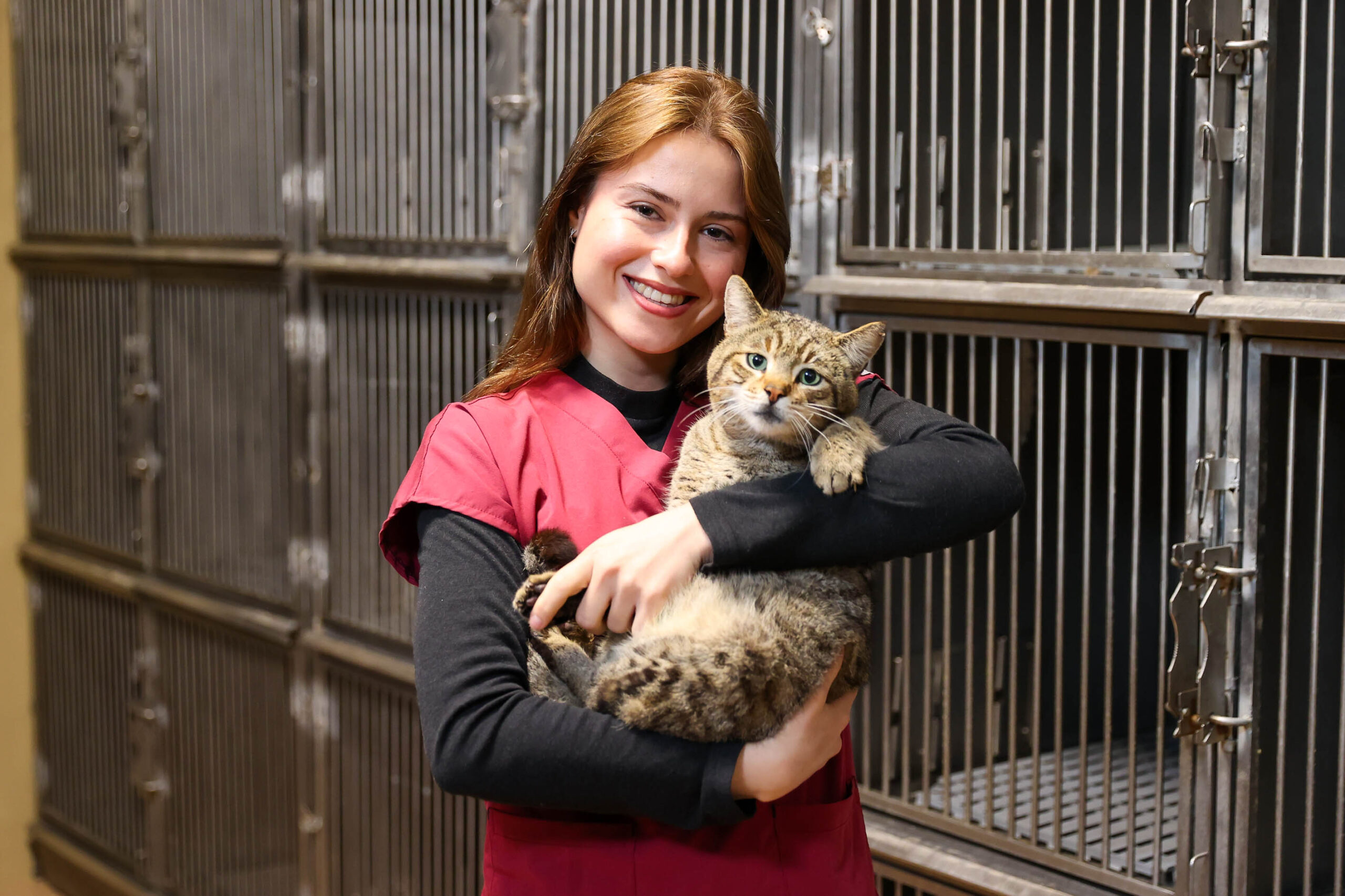 Buca’da son iki yılda 599 sokak hayvanı sıcacık bir yuvaya
