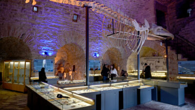 Kuşadası Belediyesi tarafından UNESCO Dünya Mirası Geçici Listesi’ndeki tarihi Güvercinada