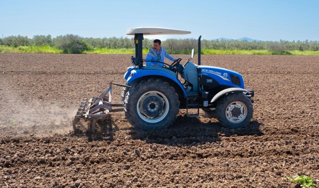 Dikili Belediye Başkanı Adil Kırgöz, ilçenin bereketli topraklarında yeni üretim