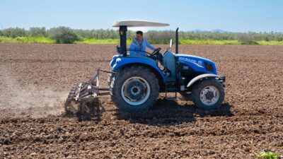 Dikili Belediye Başkanı Adil Kırgöz, ilçenin bereketli topraklarında yeni üretim