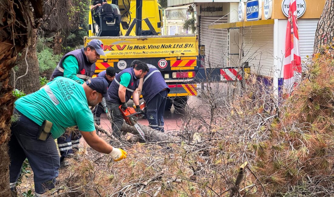 Efeler Belediyesi, Uğur Mumcu Parkı’nda risk oluşturan ağaç dallarını kontrollü