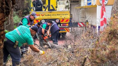 Efeler Belediyesi, Uğur Mumcu Parkı’nda risk oluşturan ağaç dallarını kontrollü