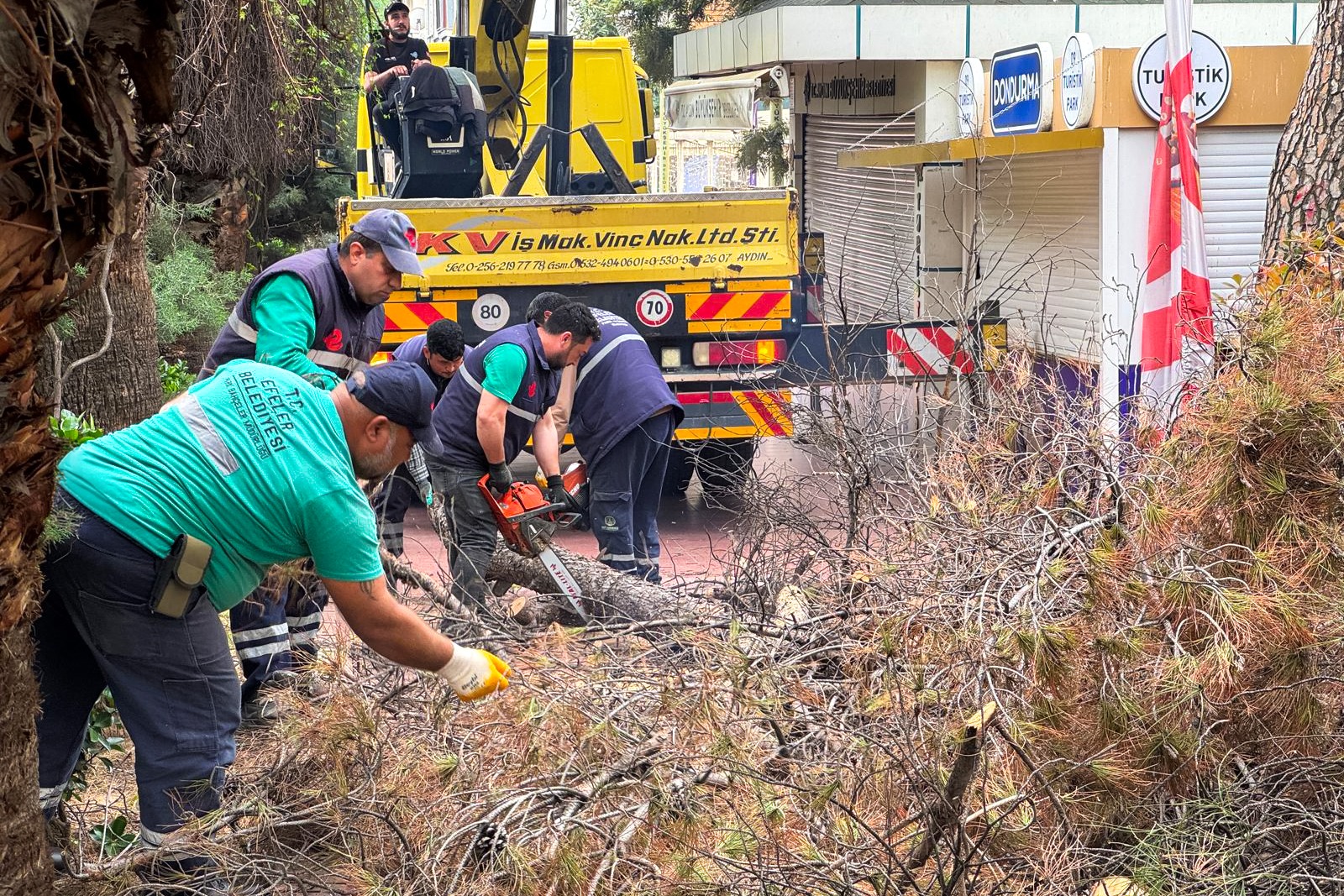 Efeler Belediyesi, Uğur Mumcu Parkı’nda risk oluşturan ağaç dallarını kontrollü