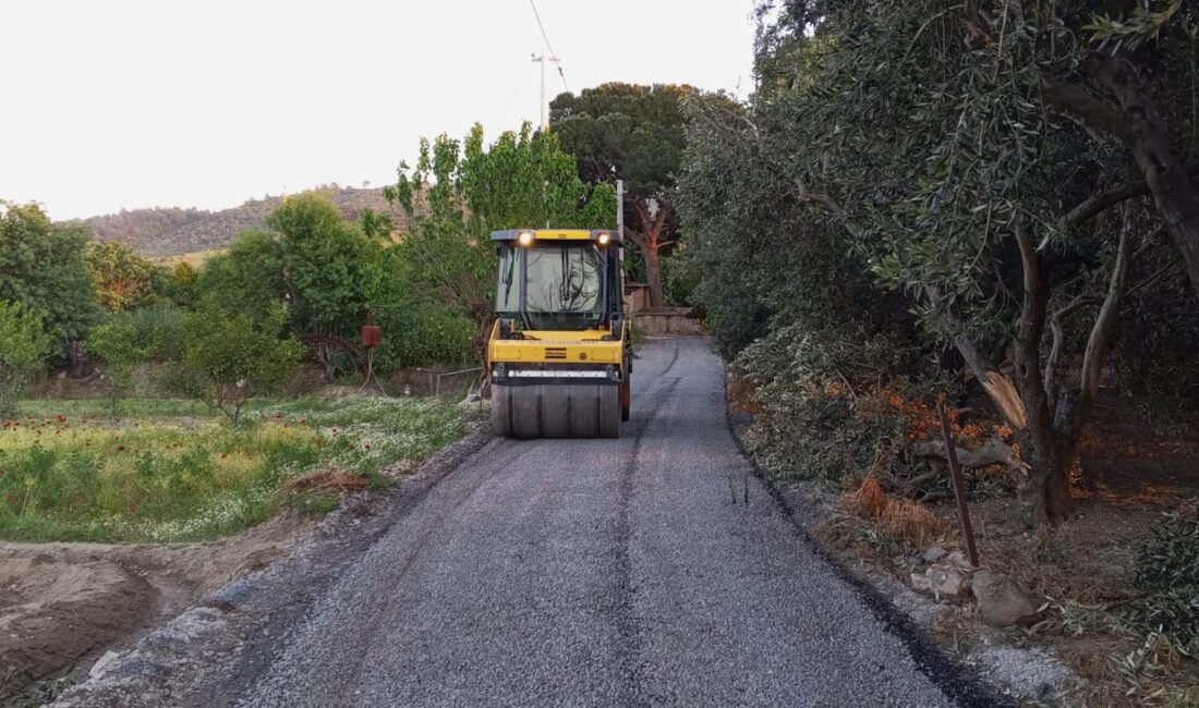 Efeler Belediyesi Fen İşleri Müdürlüğü ekipleri, ilçe genelinde yürüttüğü yol