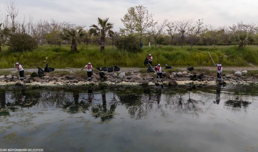 İzmir Körfezi’nde artan deniz marulu oluşumuna karşı temizlik çalışmaları sürerken,