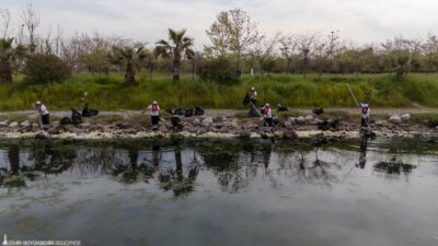 İzmir Körfezi’nde artan deniz marulu oluşumuna karşı temizlik çalışmaları sürerken,