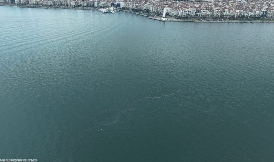 İzmir Büyükşehir Belediyesi tarafından yapılan dron denetimlerinde İzmir Körfezi’nde yeni