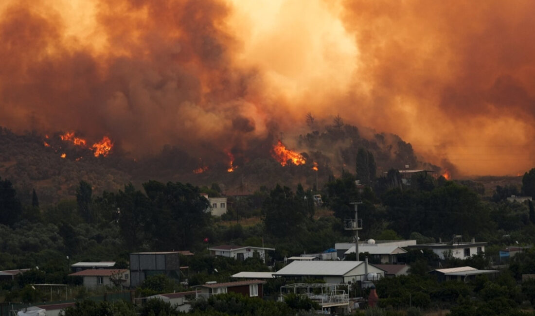 Tarım ve Orman Bakanlığı, 2025’te 5 ilde yaşanan ve can