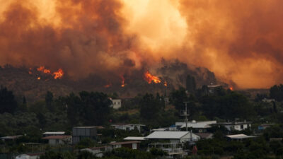 Tarım ve Orman Bakanlığı, 2025’te 5 ilde yaşanan ve can