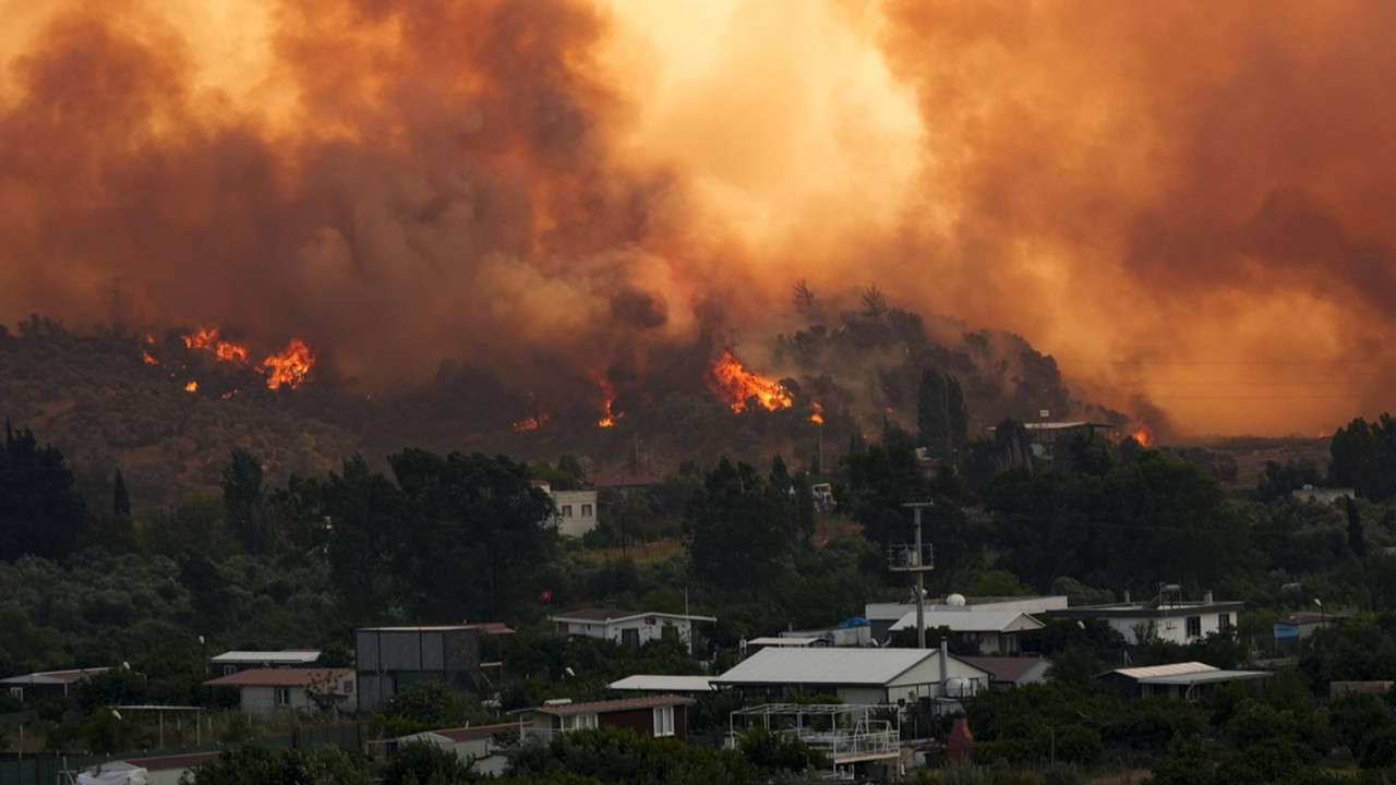 Tarım ve Orman Bakanlığı, 2025’te 5 ilde yaşanan ve can