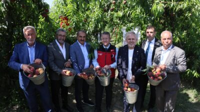 Türkiye şeftali ve nektarinde bereketli bir sezona hazırlanıyor. Şeftali ve