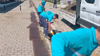 Efeler Belediyesi, Kurban Bayramı öncesi Çeştepe Hayvan Pazarı’nda temizlik, bakım